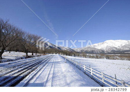 鬼首の雪景色・鳴子温泉鬼首（宮城県） 28342799