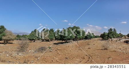 Nature Landscape in the Golan Heights 28343551
