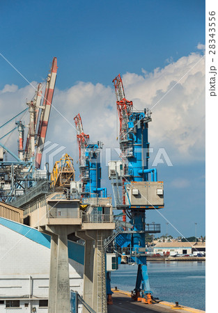 Cranes against the sky 28343556