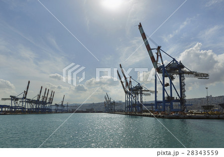 Cranes against the sky 28343559