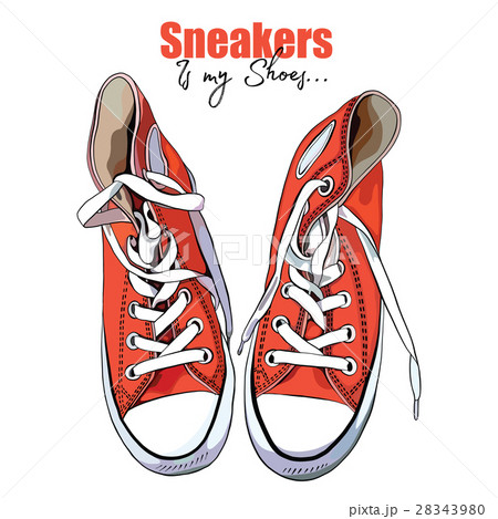 Vector Illustration Of A Hand Drawing Sneakersのイラスト素材