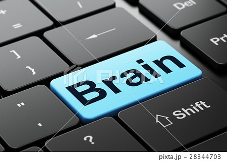 Medicine concept: Brain on computer keyboard 28344703