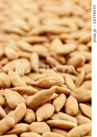 roasted sunflower seeds background roasted sunflower seeds background 28349045