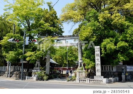 秩父神社 28350543