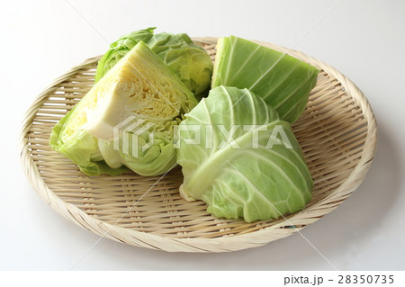 キャベツのカット キャベツのカット 28350735