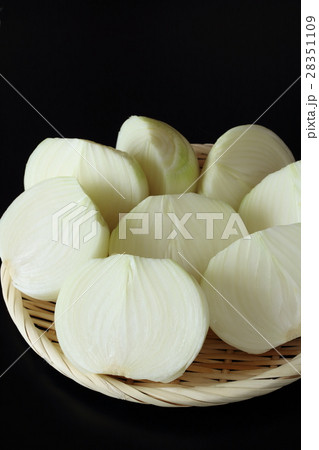 玉ネギのカット 玉ネギのカット 28351109