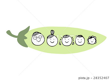 エンドウ家族カラー エンドウ家族カラー 28352407