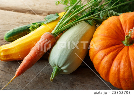 Fresh vegetables 28352703