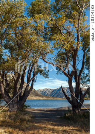 Lake Pearson, Craigieburn Forest Park, New Zealand Lake Pearson, Craigieburn Forest Park, New Zealand 28354238