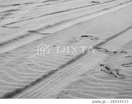 浜辺 28354515