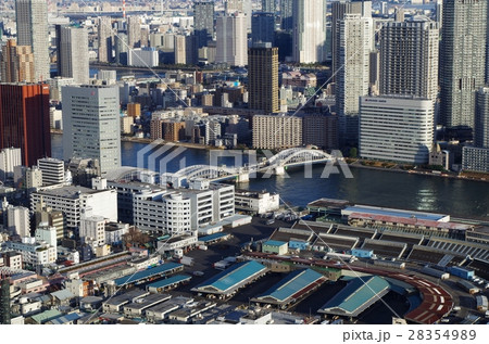 築地と勝どき橋を展望 築地と勝どき橋を展望 28354989