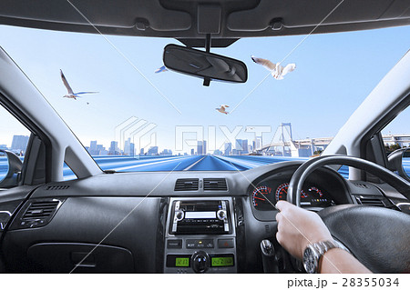 運転席の風景 28355034