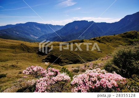 台湾 アルプ 高山 28355128