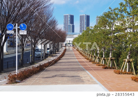東京臨海副都心の道 28355643