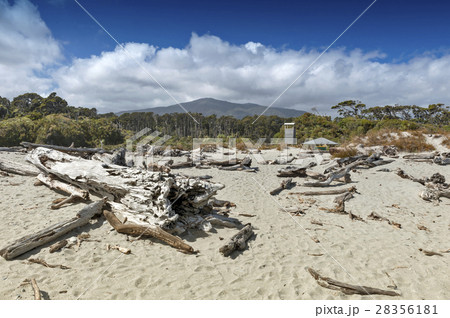 Tauparikaka Marine Reserve, Haast, New Zealand 28356181