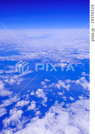空旅 (13) 28356529