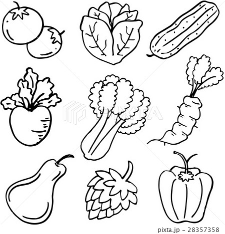 Doodle of vegetable food set 28357358