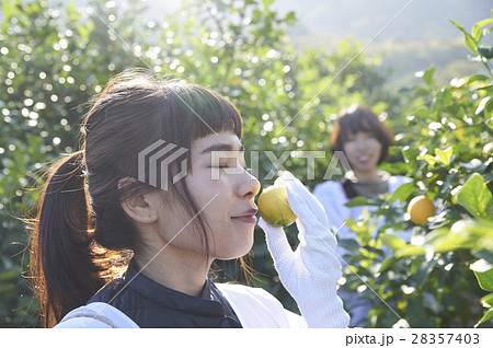 レモンの香りを嗅ぐ女性 28357403