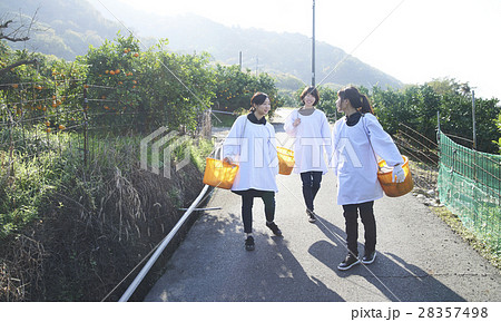 果樹園を歩く女性たち 28357498