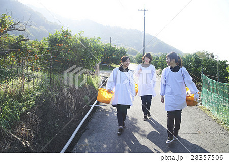 果樹園を歩く女性たち 28357506