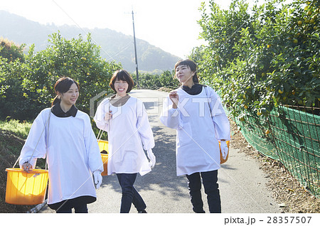 果樹園を歩く女性たち 28357507