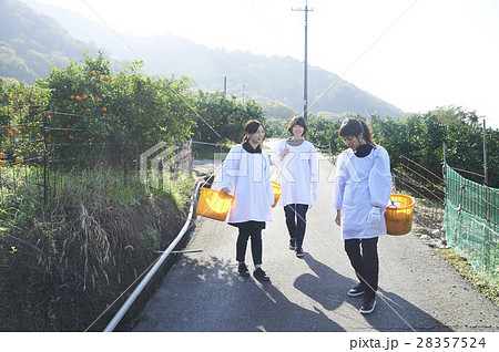 果樹園を歩く女性たち 果樹園を歩く女性たち 28357524