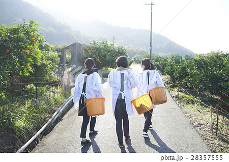 果樹園を歩く女性たち 果樹園を歩く女性たち 28357555