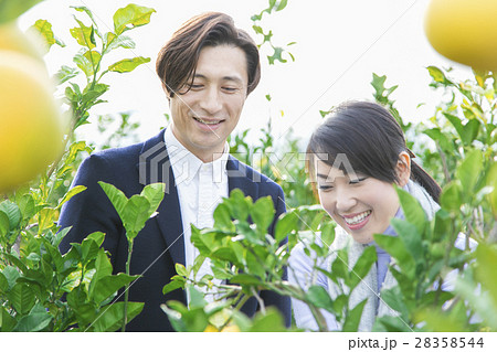 農園を観光する男女 28358544