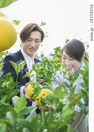 農園を観光する男女 28358558