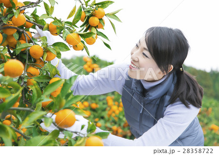 農業女子　イメージ 28358722