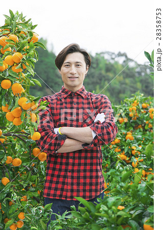 みかん農家 みかん農家 28358753