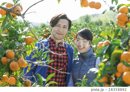 農業夫婦 ポートレート 農業夫婦 ポートレート 28358892