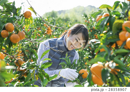 農業女子　イメージ 28358907