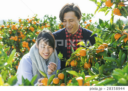 農園を観光する男女 農園を観光する男女 28358944