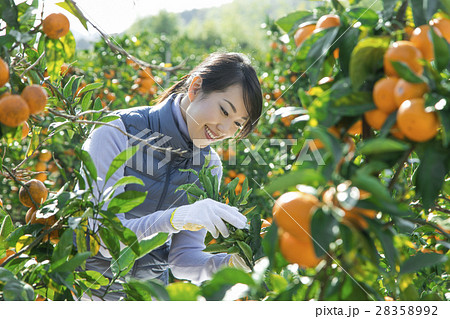 農業女子　イメージ 28358992