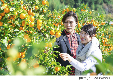 農園を観光する男女 農園を観光する男女 28358994