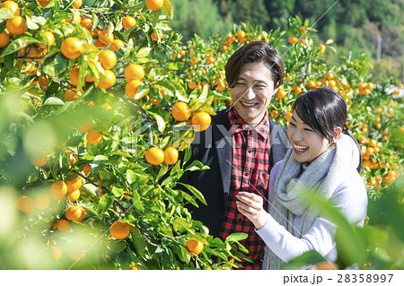農園を観光する男女 農園を観光する男女 28358997