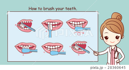 how to brush your teeth, 28360645