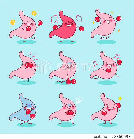 cartoon stomach wear boxing 28360693