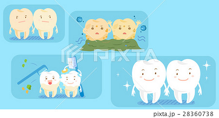 cute cartoon tooth brush clear 28360738