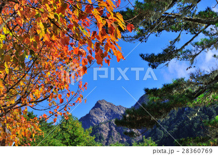 アジア人 アジアン アジア風 28360769