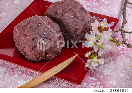 <年中行事>お彼岸イメージ/おはぎと桜 <年中行事>お彼岸イメージ/おはぎと桜 28361616