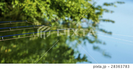Fishing rod in the lake, waiting for the key 28363783
