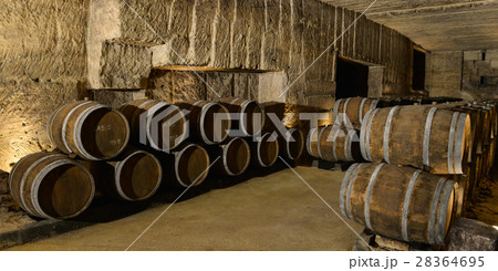 Barrels in Wine Cellar Barrels in Wine Cellar 28364695