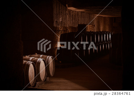 Barrels in Wine Cellar 28364761