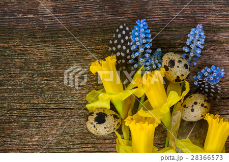 Muscari, daffodils and eggs Muscari, daffodils and eggs 28366573