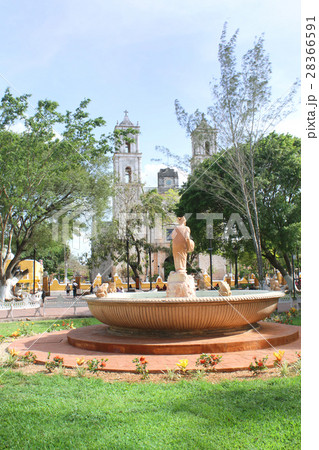 メキシコ　バジャドリの景色 28366591