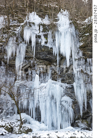 三十槌の氷柱 秩父 三十槌の氷柱 秩父 28367457