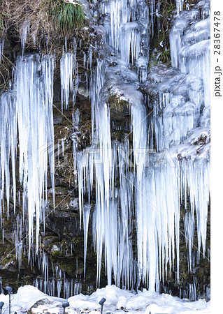 三十槌の氷柱 秩父 三十槌の氷柱 秩父 28367478