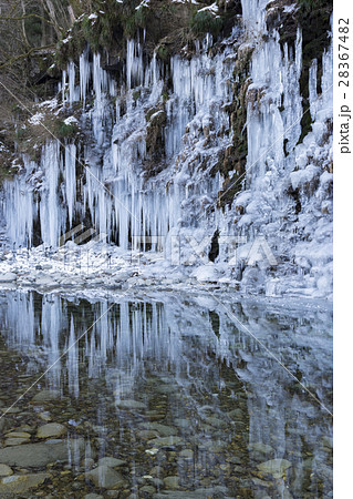 三十槌の氷柱 秩父 三十槌の氷柱 秩父 28367482